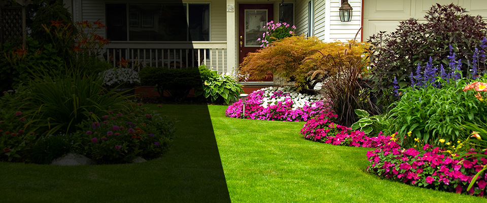 Lumberton Landscapers